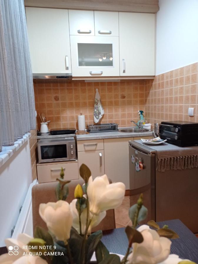 Apartman Harmonija Vrnjačka Banja Buitenkant foto