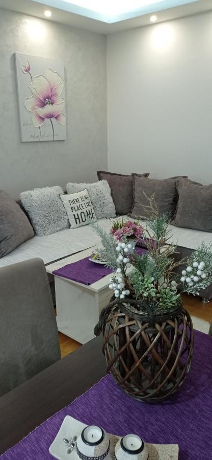 Apartman Harmonija Vrnjačka Banja Buitenkant foto