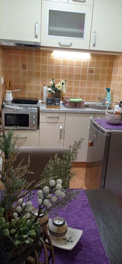 Apartman Harmonija Vrnjačka Banja Buitenkant foto