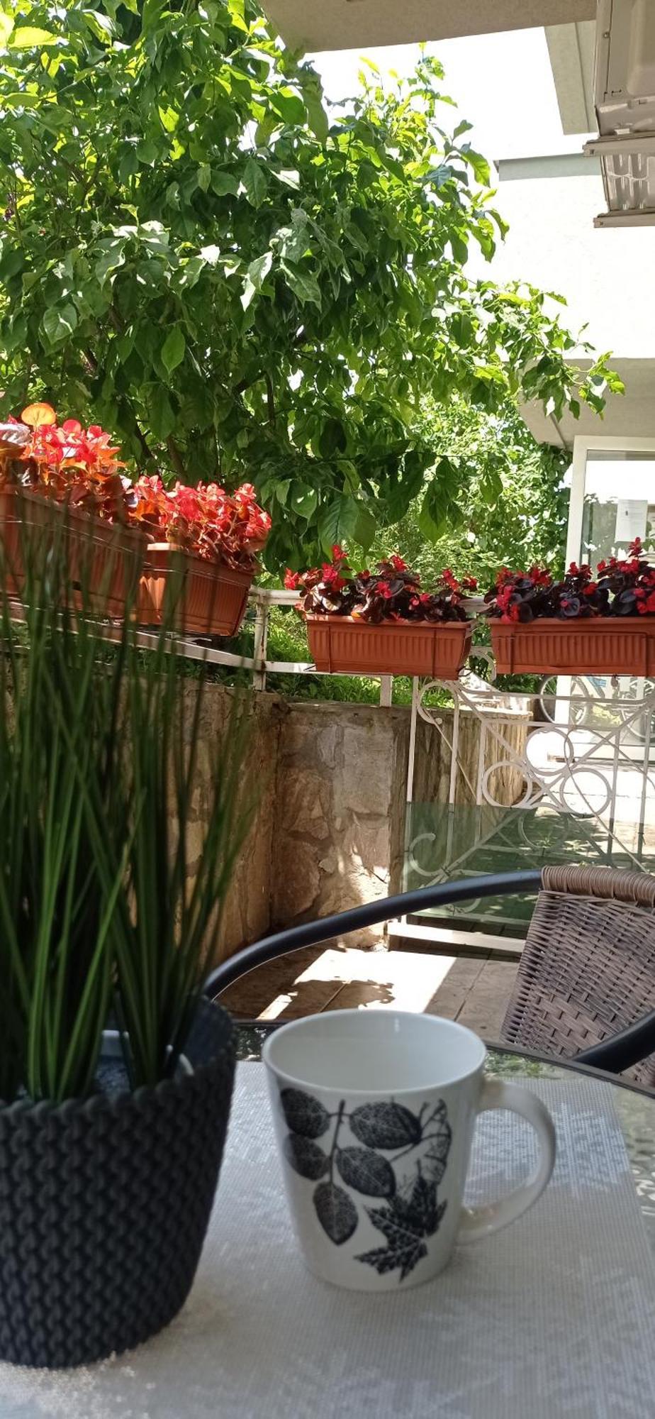 Apartman Harmonija Vrnjačka Banja Buitenkant foto